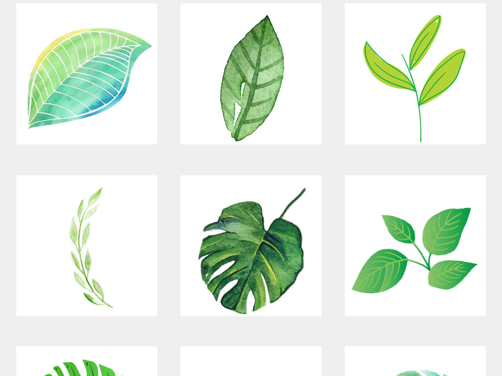 免抠元素 自然素材 树叶 > 夏天天绿色绿叶树叶设计海报背景png素材