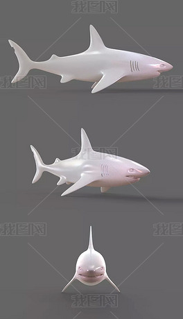 原创鲨鱼3d模型版权可商用