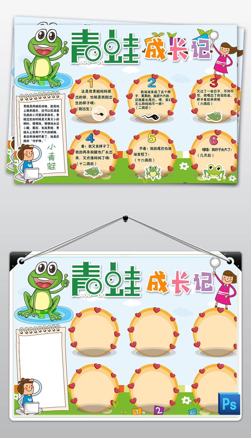ps青蛙成长记小报动物生长手抄报青蛙生长过程小报观察日记电子手抄报