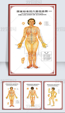 女性人体标准穴位经络图医院宣传海报设计