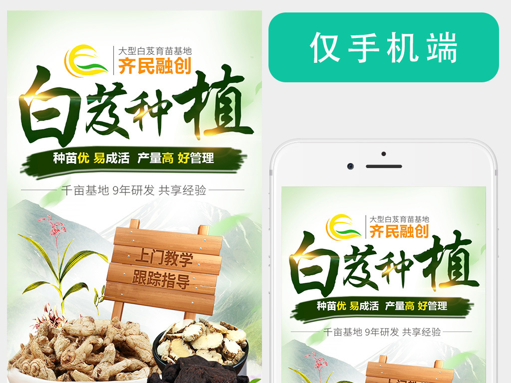 淘宝天猫铁皮石斛白芨黄精重楼招商推广页面