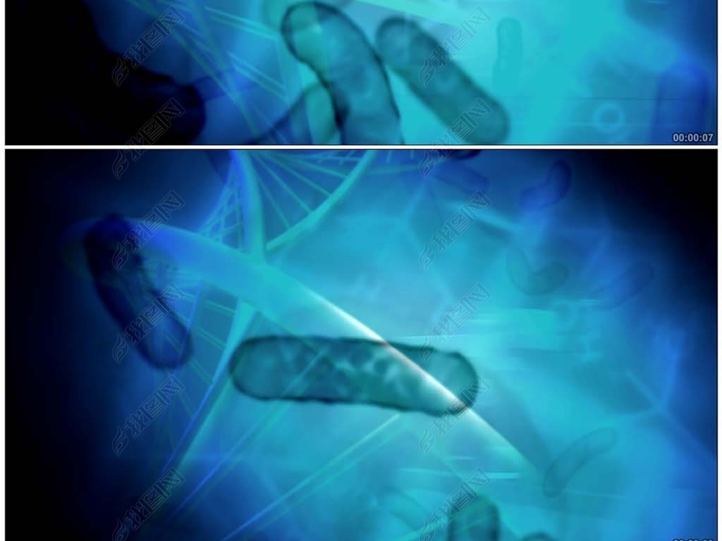 显微镜下的细菌细胞游动高清背景视频