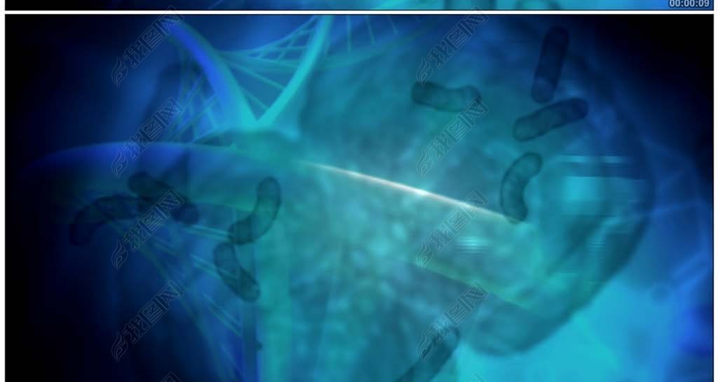 显微镜下的细菌细胞游动高清背景视频