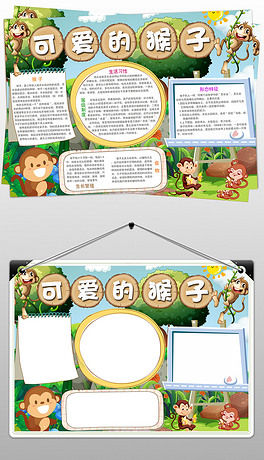 猴子小报保护野生动物可爱的猴子手抄小报