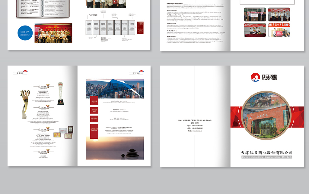 高端简洁医药企业全套内容中英文企业宣传册