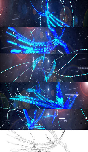 蓝色凤凰双飞片头动画凤凰飞动画片头带ae合成源文件