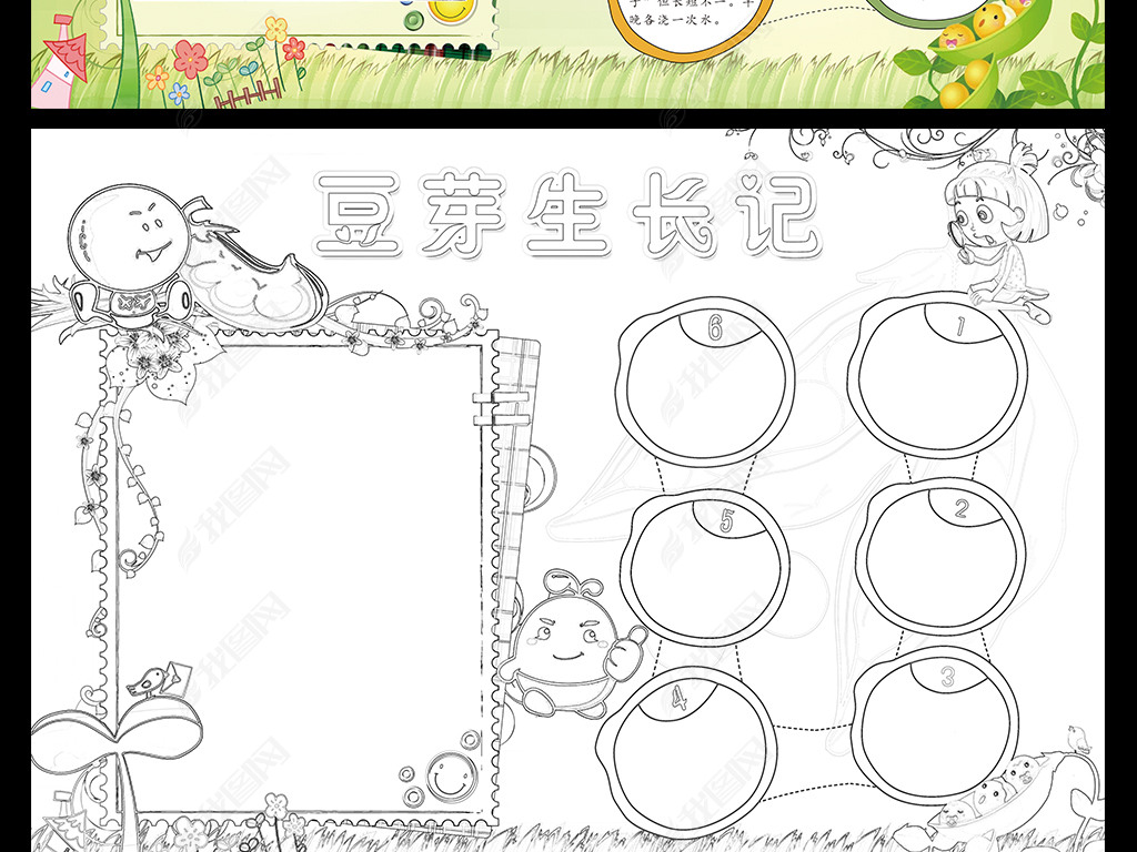 原创植物小报豆芽生长记观察日记手抄报电子小报版权可商用