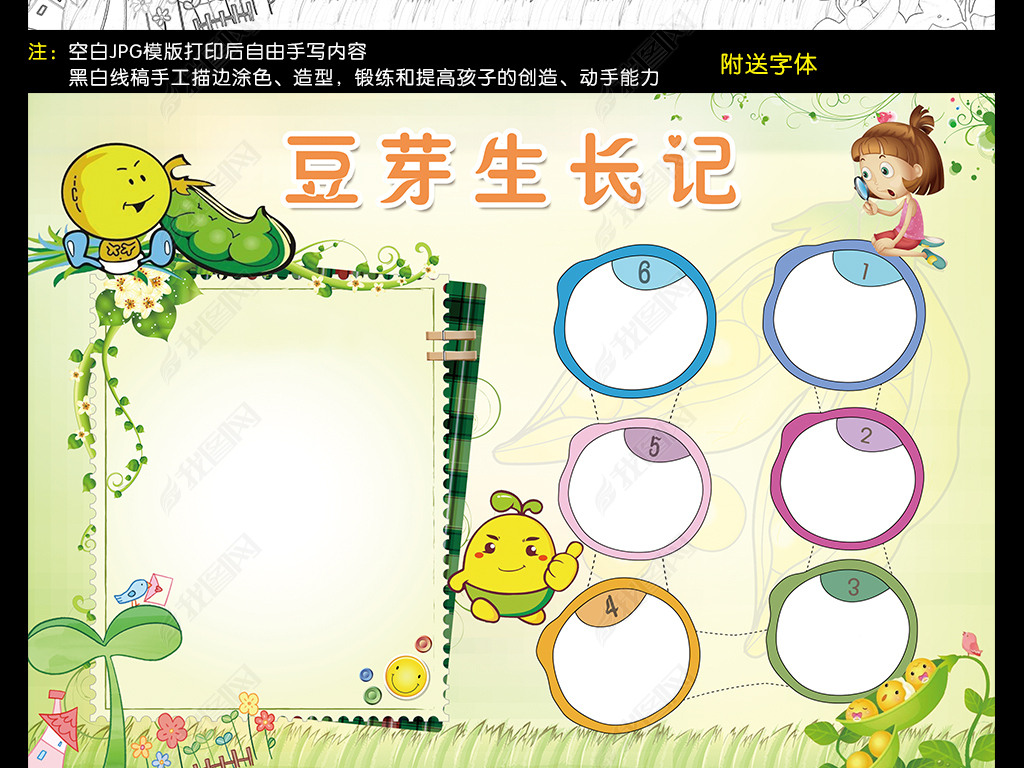 原创植物小报豆芽生长记观察日记手抄报电子小报版权可商用