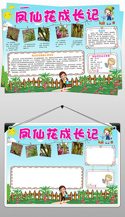 凤仙花生长记小报植物观察手抄报电子小报
