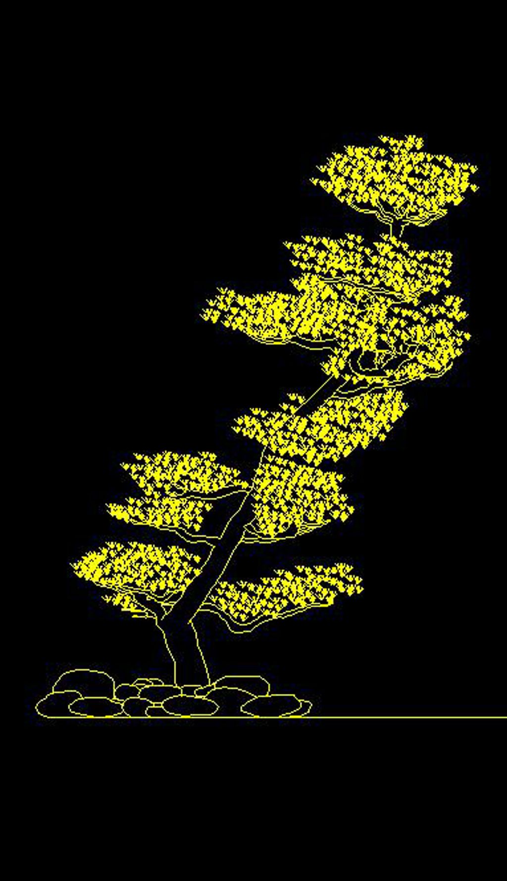 松树室内盆景cad立面图