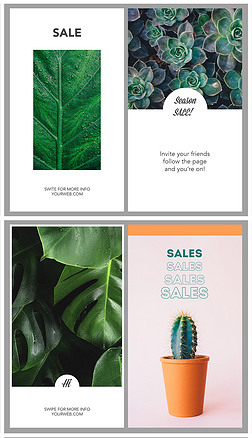 绿色森系多肉植物手机画面展板设计模板