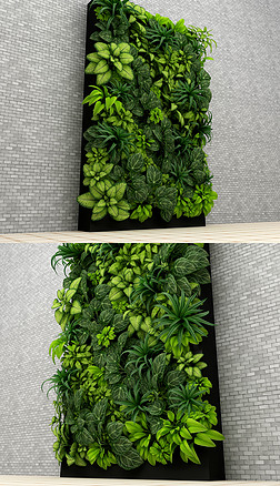 植物装饰组合3dmax植物墙材质贴图齐全