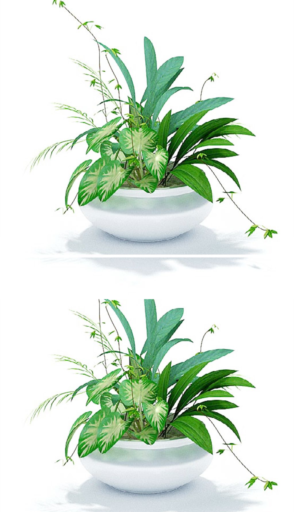 绿色植物组合盆景3d模型