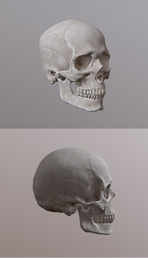 骷髅头3d模型