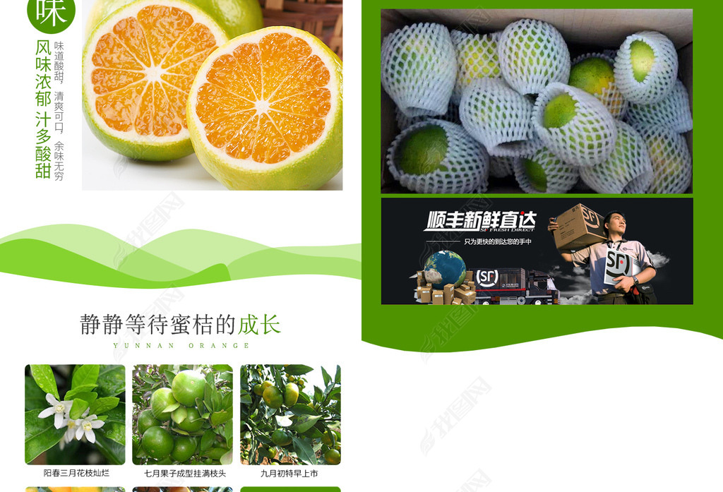 淘宝天猫水果青皮蜜桔橘子详情页psd模板