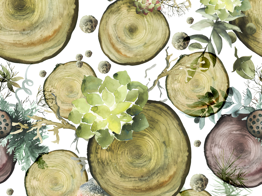 2018时尚流行年轮多肉植物大花花卉绘画笔触