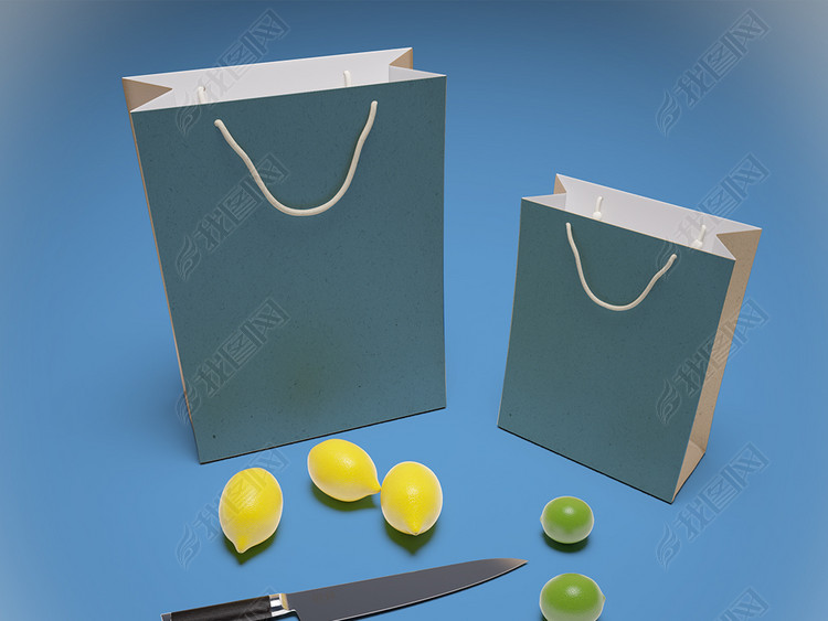 牛皮纸环保纸袋食品袋样机