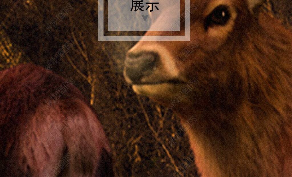 ŷɭ¹羰ǽ