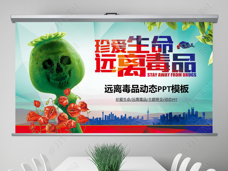 国际禁毒日学生毒品安全教育远离毒品PPT