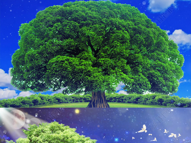 歌曲《好大一棵树》教师节配乐成品