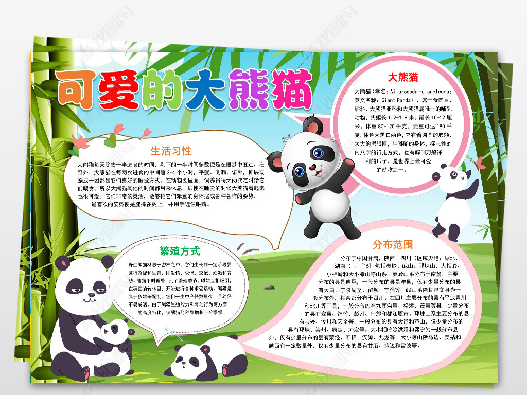 word大熊猫小报保护动物手抄报中国国宝电子小报