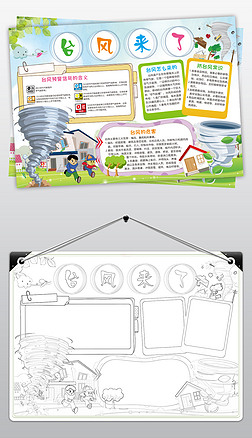 台风手抄报内容图片