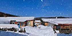 东北农家院冬天景象下雪视频冬季景色led视频