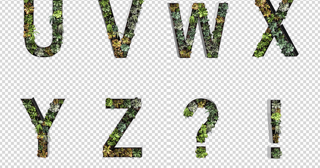 高清3D立体多肉英文字母设计png素材