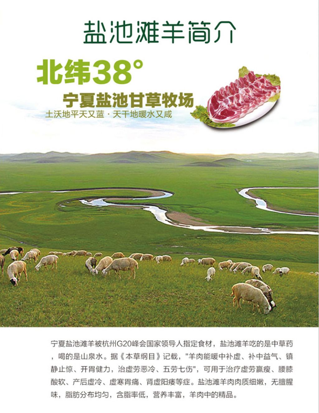原创盐池滩羊简介