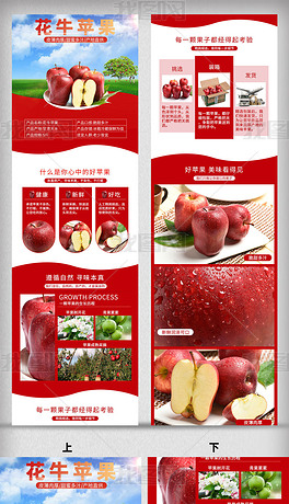 原创花牛苹果红蛇果甘肃天水新鲜水果详情页