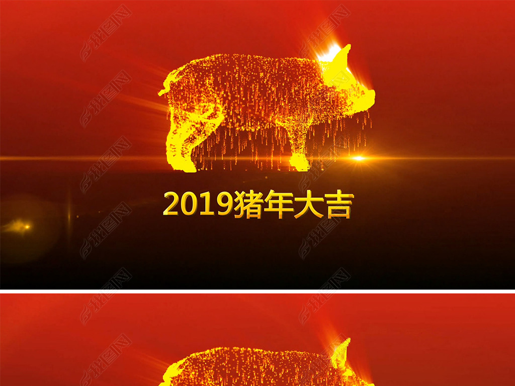 2019ƵƬͷ