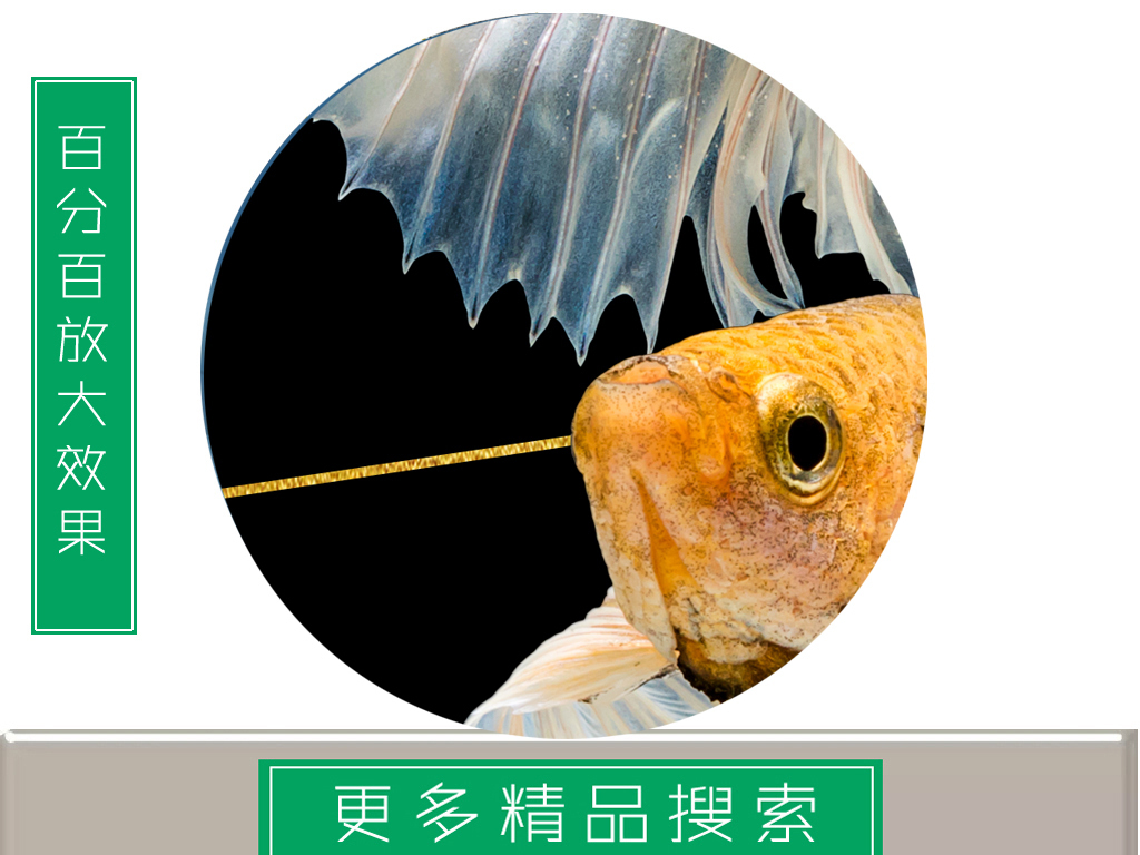 现代简约金色抽象几何斗鱼晶瓷画装饰画