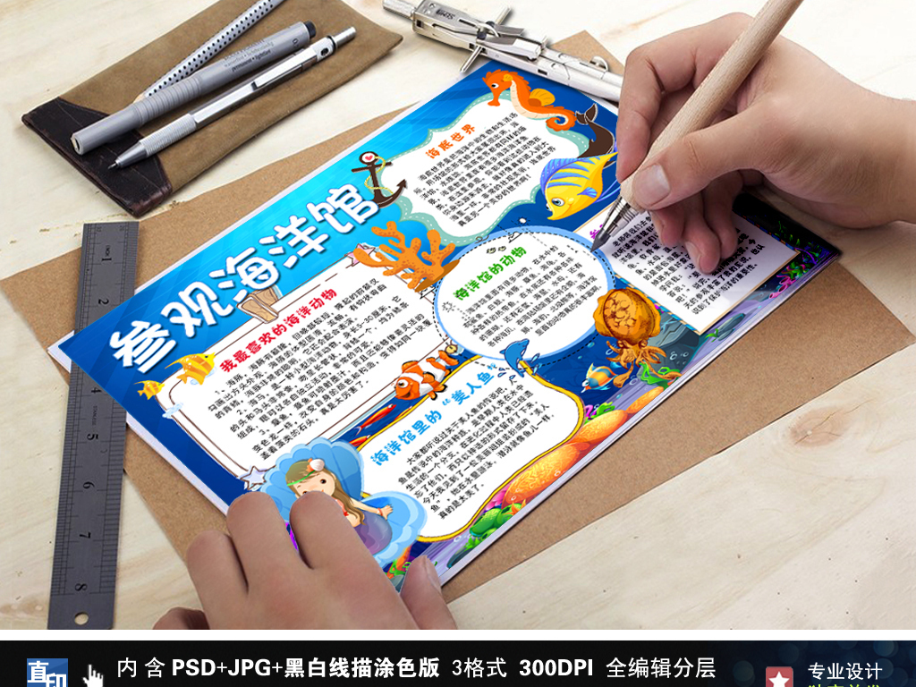 参观海洋馆小报参观海洋世界感想手抄报小报