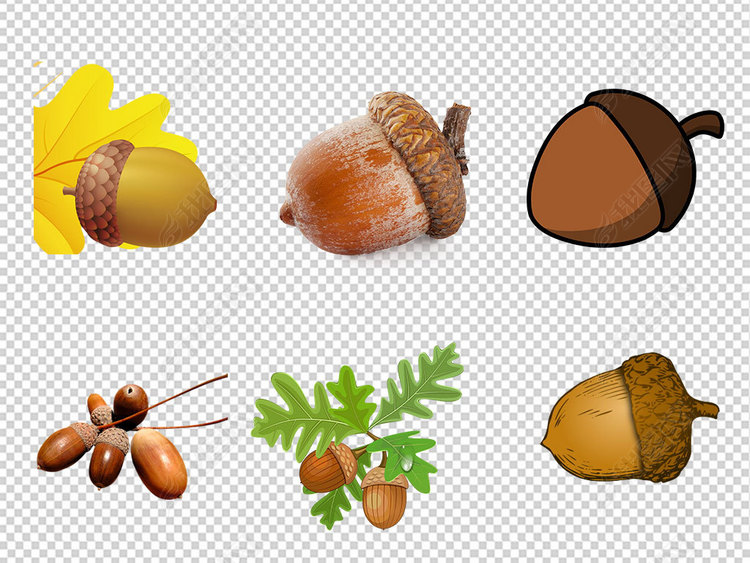 手绘卡通松针松果巴西开口松子png素材