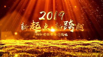 𺳴2019ҵƵAEģ