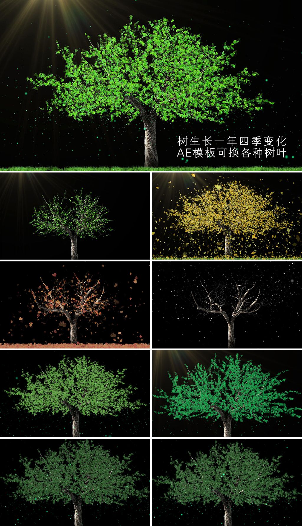 一年四季树生长变化ae模板可换树叶