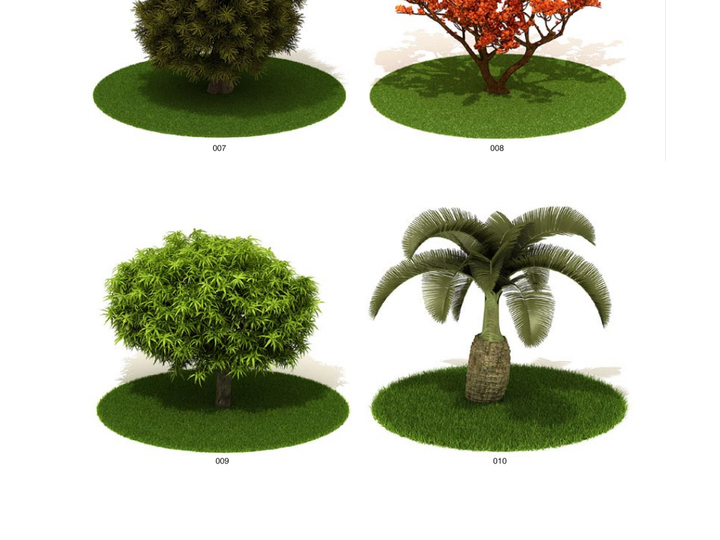 园林景观树林植物