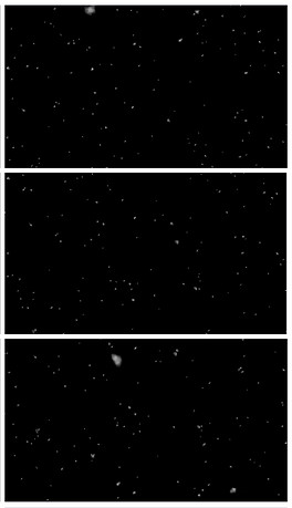 带通道唯美下雪雪花飘落视频素材