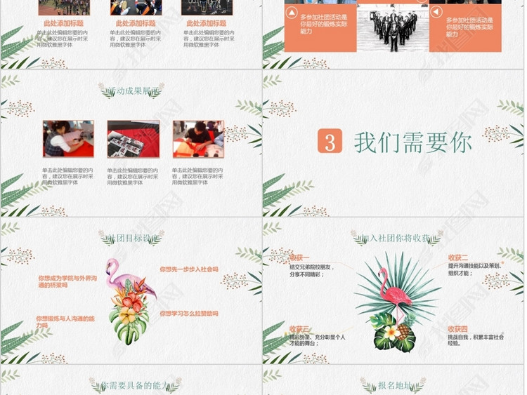 小清新简约火烈鸟大学学生会社团招新ppt模板