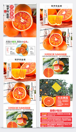 2019橙色淘宝橙子水果详情页750卡罗科血橙详情