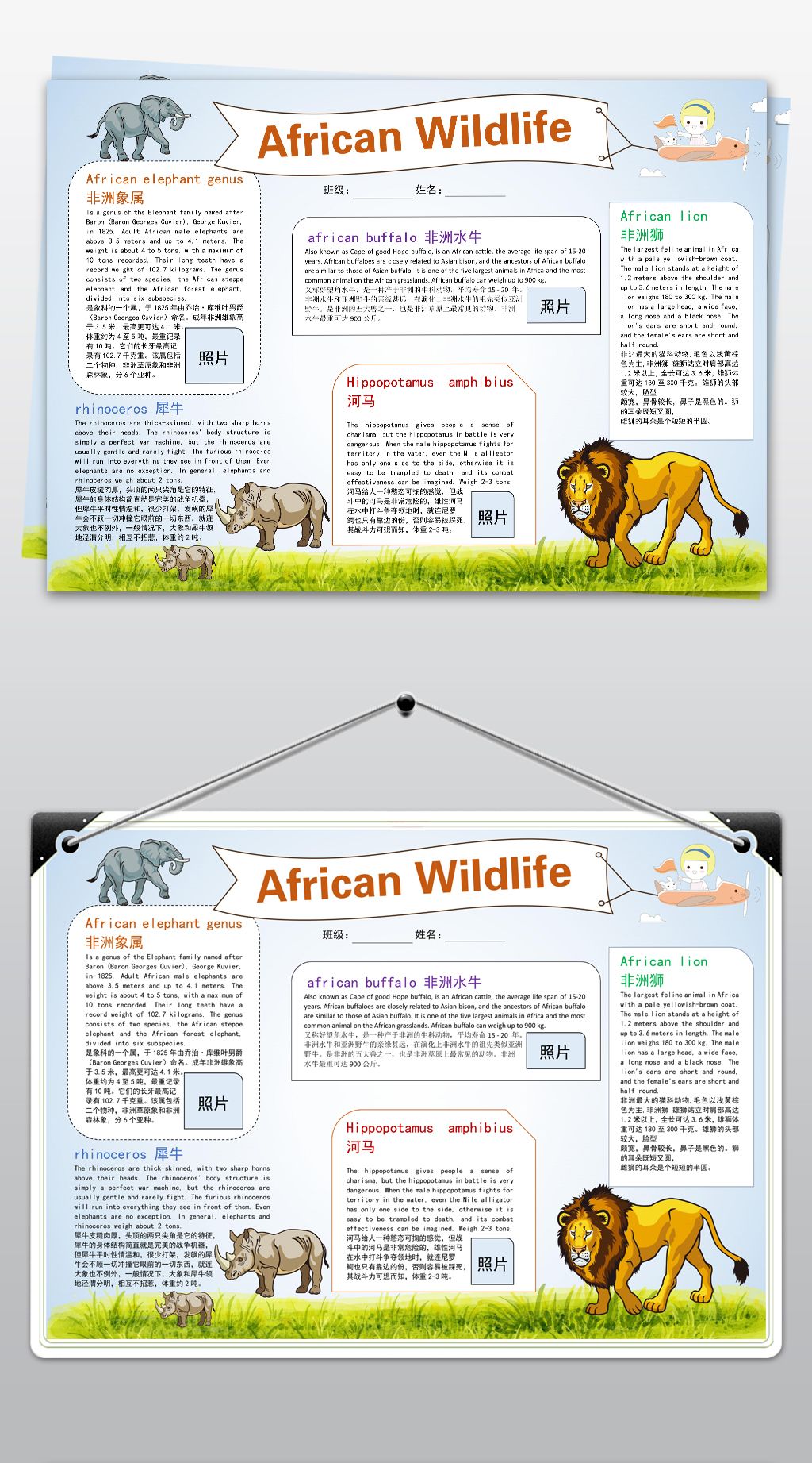 原创word模板电子手抄报非洲动物英语小报版权可商用