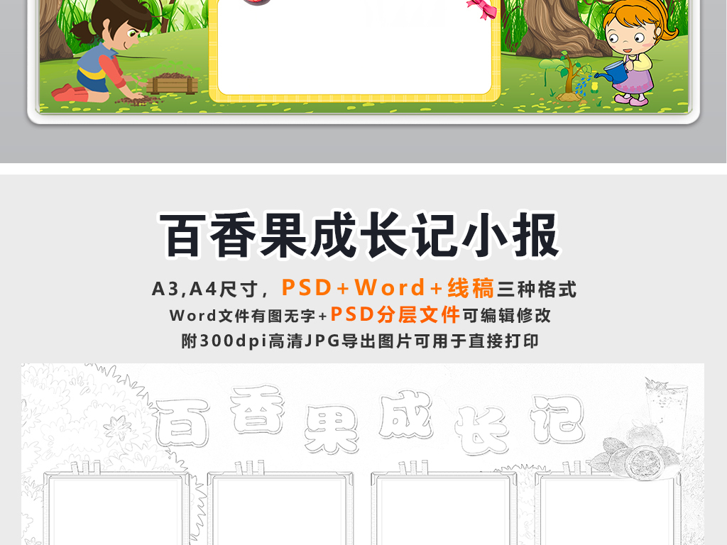 百香果生长过程植物小报水果观察手抄报电子小