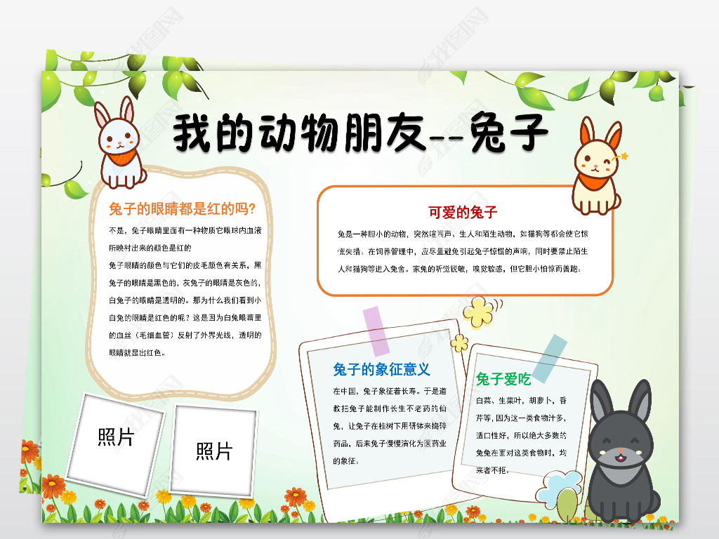 模板身边的小动物兔子下载-编号19082951-爱护动植物手抄报-我图网