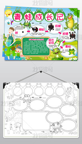 word/psd青蛙成长记小报动物生长手抄报青蛙生长过程小报观察日记电子