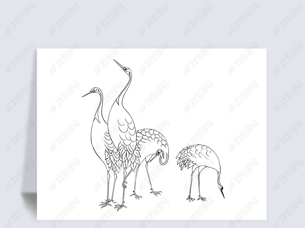 手绘线描素描鹤插画cdr矢量图