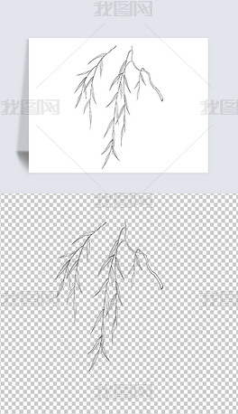 原创手绘线描柳树杨柳垂柳cdr矢量图-版权可商用