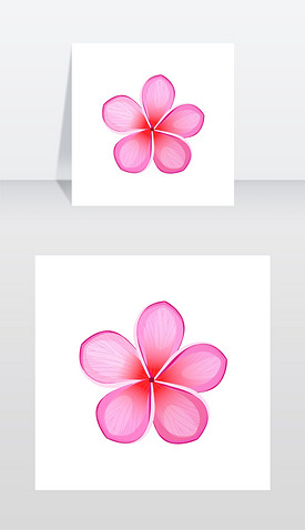 美花设计平面风格孤立盛开的粉红色花朵具有矢量图