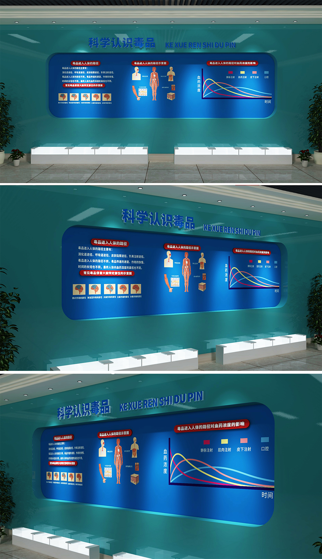 原创青少年禁毒文化墙禁毒展馆蓝色科学认识-版权可商用