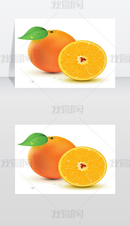向量插图新鲜多汁的橙子孤立在白色背景