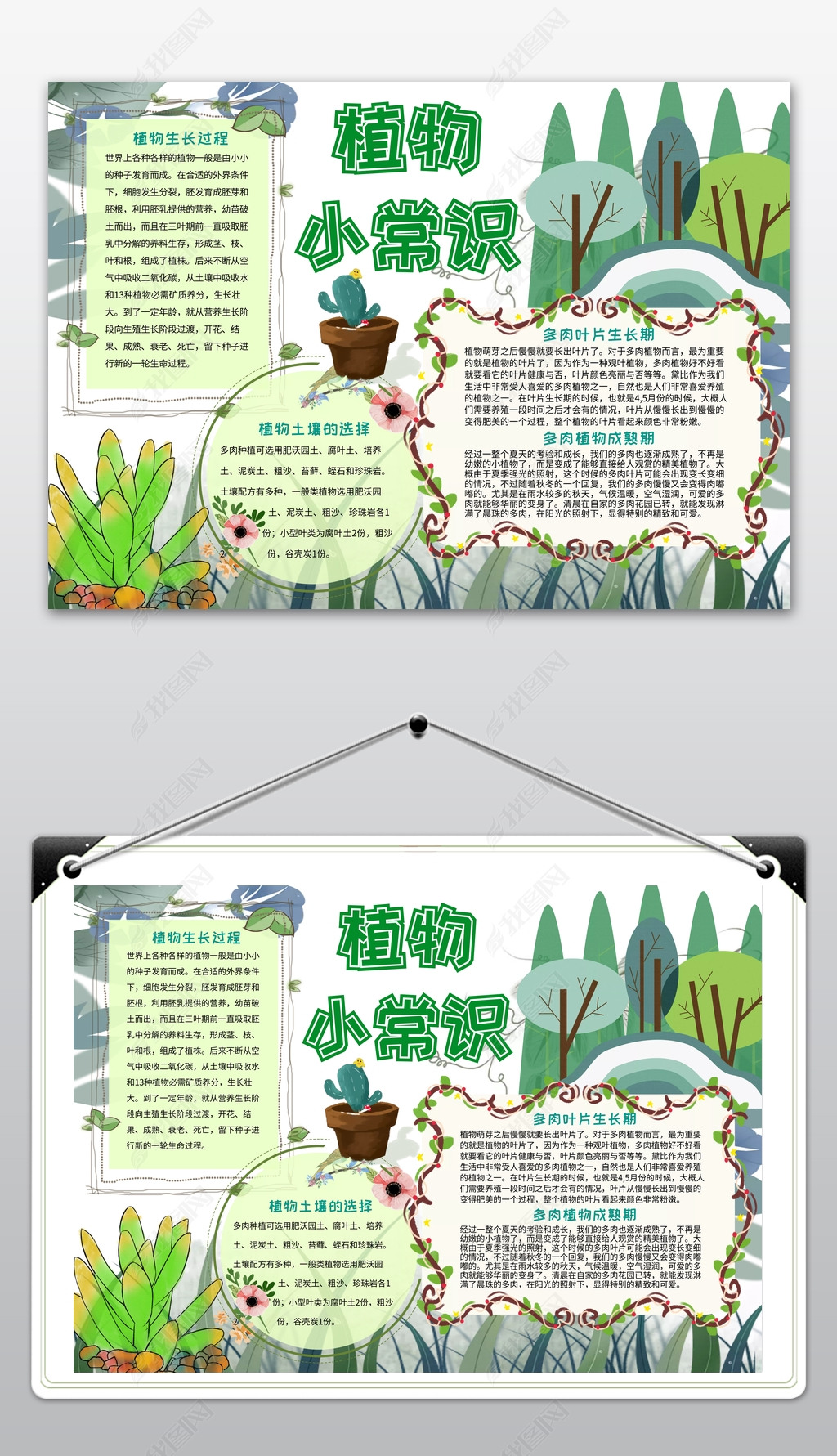 原创植物标本手抄报制作植物标本小报电子报模板版权可商用
